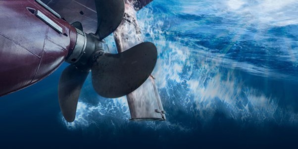 The WWF call for regulation to decrease underwater noise pollution