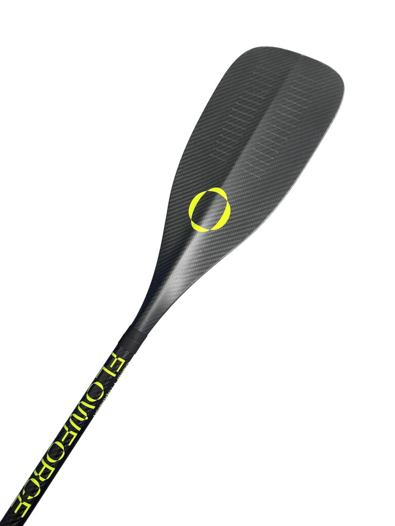 New Year Paddle Workshop
